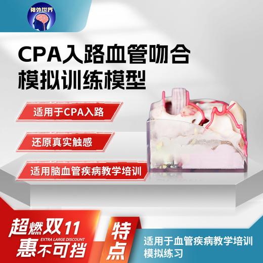 【神外特惠】神外世界出品 3D打印颅骨三件套 颅内神经血管模型  前纵裂入路、颞下入路、CPA入路、翼点入路血管吻合模拟训练模型 商品图6