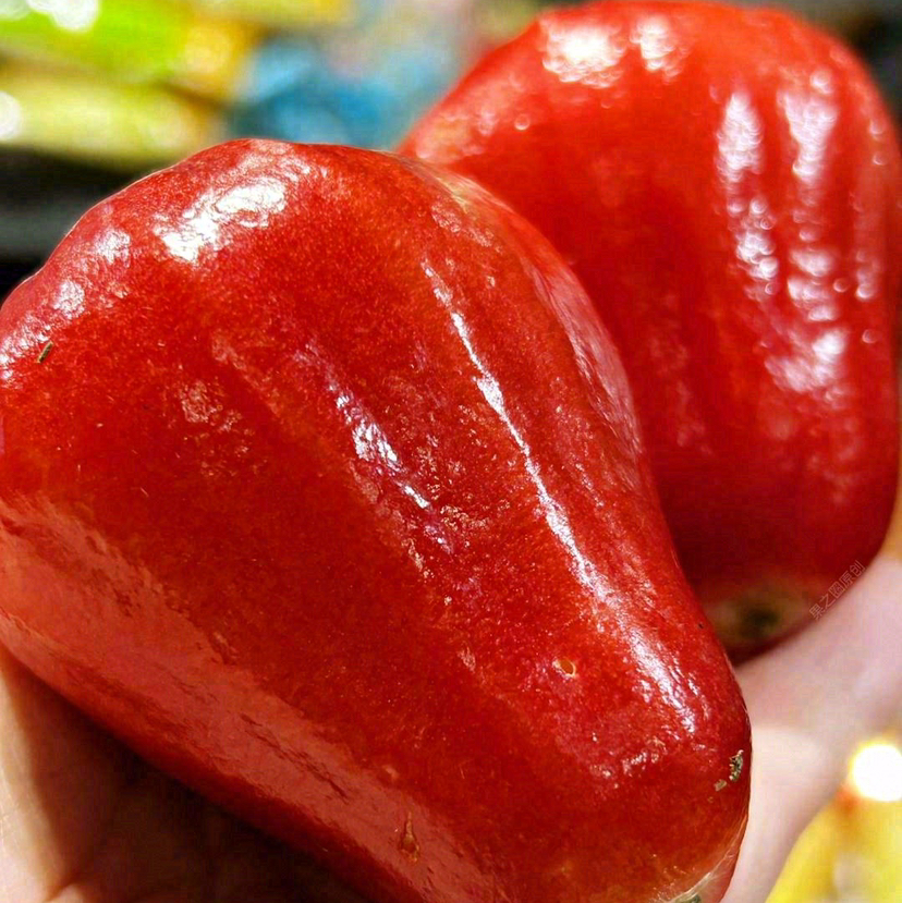 4-5A 泰国莲雾  一盒约5斤 含水量高 清甜生津 减肥水果