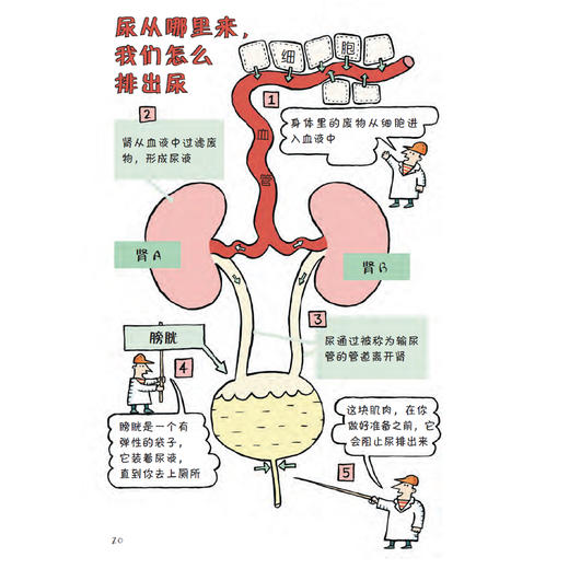 “儿童情绪管理桥梁书”（全3册）：《好心的艾米》《蓝芝士嘴，臭汗脚》 《尿床事件》 商品图9