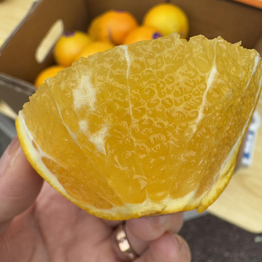 云南花斑橙 商品图1