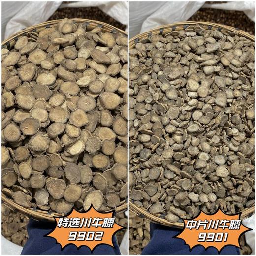 川牛膝 当季新货 农家生晒 中药材 商品图0