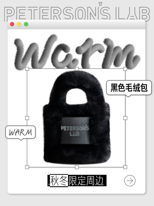 品牌毛绒包 商品图1