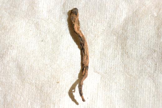 彩农茶｜2024年弯弓熟茶 商品图7