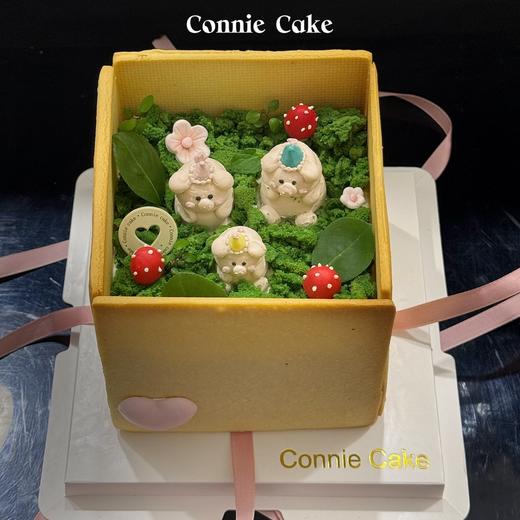 饼干盒子蛋糕（人偶可换） 商品图2