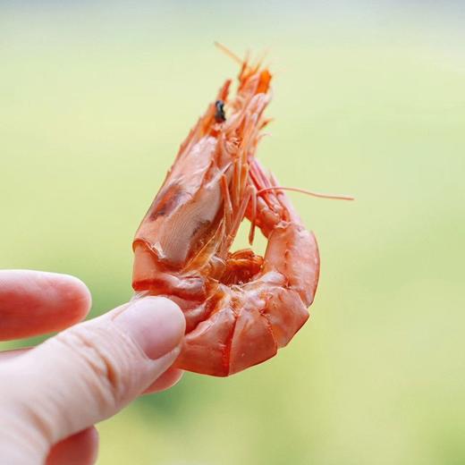 紫菜妈妈淡干九节虾干 90g*4罐 无添加 霞浦野生海捕活虾制作 商品图2