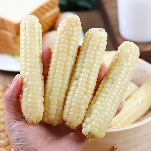 【拇指玉米】云南西双版纳拇指玉米 整箱发货 加热即食 商品图4