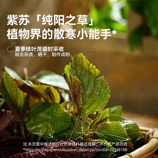 【限时秒杀，29.9/3盒】葱豉汤固体饮料 24g（2g*12袋）/盒 药食同源冲剂小儿儿童固体饮料暖身御寒 商品图2