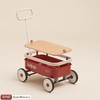 (包邮)KIDPOP pula-小野推拉车（四种颜色） 商品缩略图3