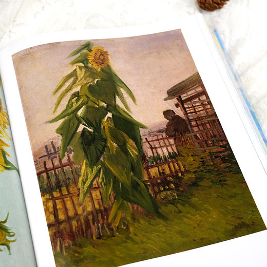 《凡·高：追梦赤子心》（刷边版） 商品图5