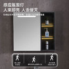 蒙娜丽莎不锈钢柜体 门板航空板烤漆 智能镜柜 60-80尺寸 跑量款 不含安装 智能款 81cm 商品缩略图4