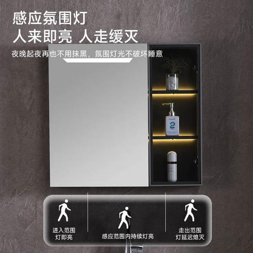 蒙娜丽莎不锈钢柜体 门板航空板烤漆 智能镜柜 60-80尺寸 跑量款 不含安装 智能款 81cm 商品图4