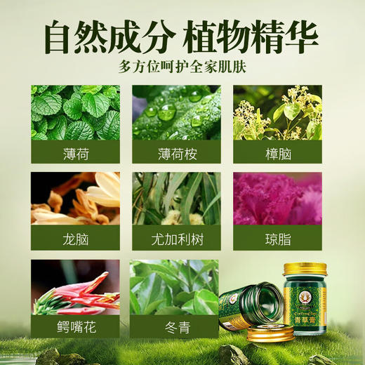 稻穗青草膏15G 清凉解痒 商品图5