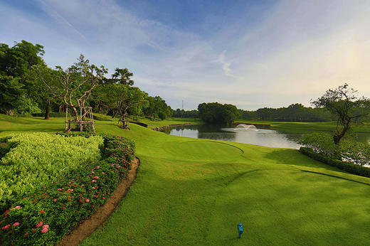 曼谷艾潘高尔夫俱乐部 Alpine Golf Club Bangkok | 泰国高尔夫球场俱乐部 | 曼谷高尔夫 商品图7