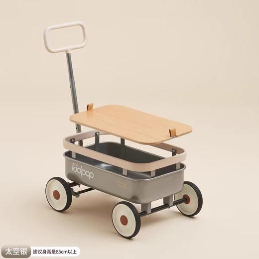 (包邮)KIDPOP pula-小野推拉车（四种颜色） 商品图1