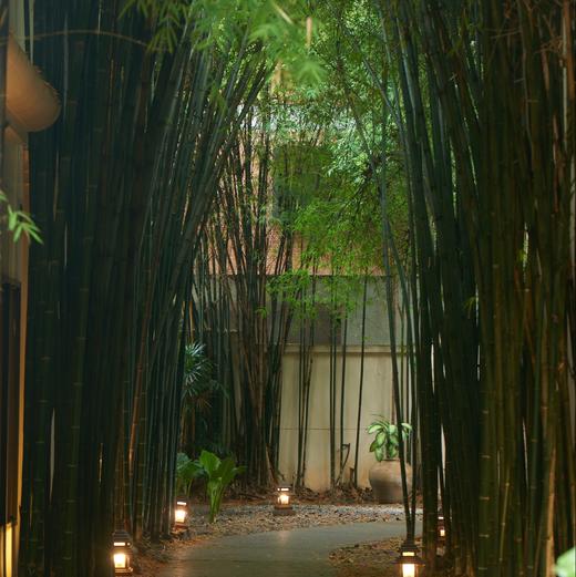 【曼谷/清迈SPA88折代预约】Divana贵妇奢华水疗|多套餐可选|暹罗古法|舒缓减压|精油护理|5店通用 商品图4