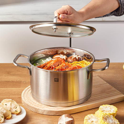 ZW-C123 Zwilling Moment 20cm深烧锅 商品图5