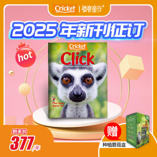 【2025杂志季】Cricket Media 蟋蟀童书（2025年1月-2025年12月）9期/年 0-14岁 商品图3