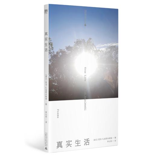 真实生活  （波兰）亚当·扎加耶夫斯基/著 【北贝】 商品图0