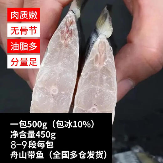 严选 | 东海老鹰嘴小眼油带雷达网带鱼 500g（含冰10%）净重450g*5包 商品图1