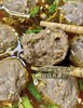 😋【联兴牛牛肉丸牛筋丸】 👏你吃过比乒乓球还弹弹弹的牛肉丸&牛筋丸吗？💥 正宗潮汕手打牛肉丸，🌸柔脆弹牙，细嫩爽口~ 90%的含肉量🔥 商品缩略图1