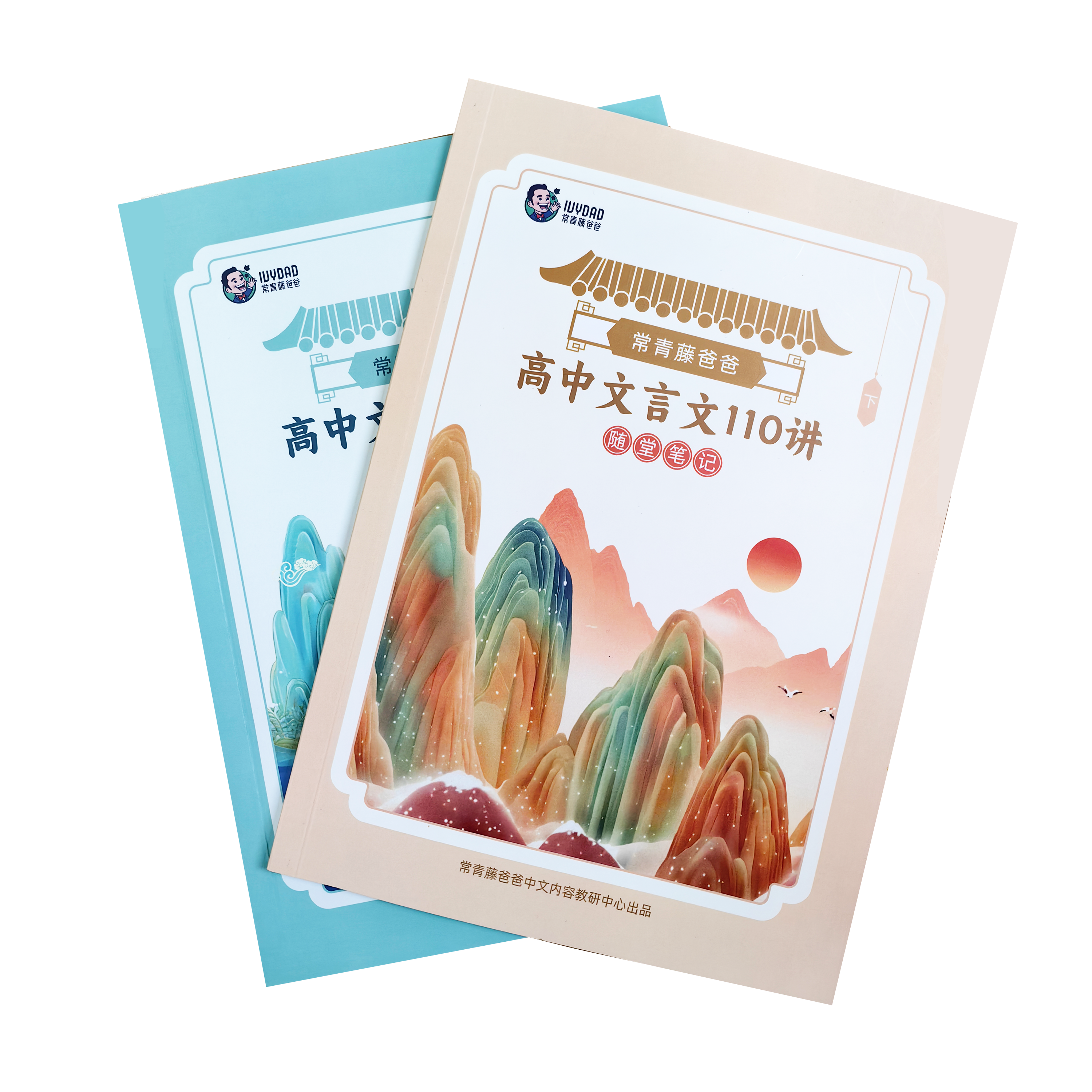 高中文言文110讲随堂笔记2册（小古文L5教辅）