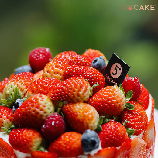 【莓满】草莓树莓 商品图1