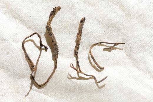 彩农茶｜2024年弯弓熟茶 商品图5