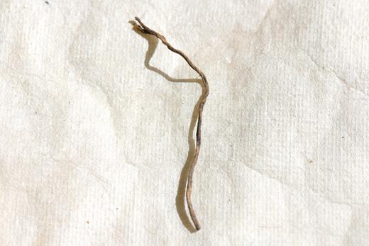 彩农茶｜2024年弯弓熟茶 商品图8