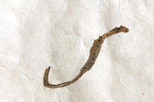 彩农茶｜2024年弯弓熟茶 商品图6