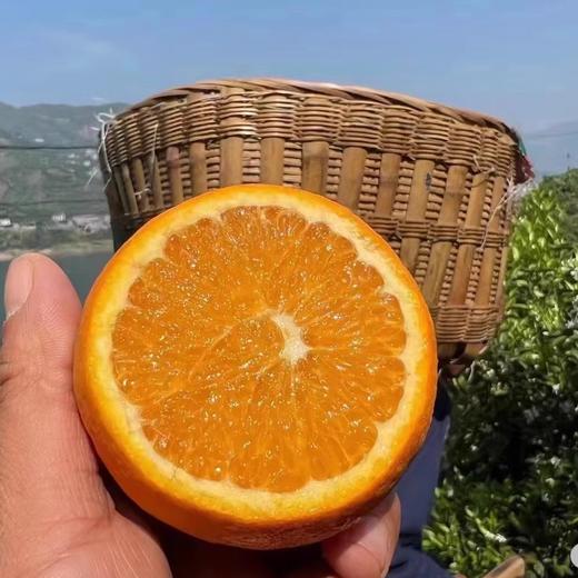 正宗秭归九月红 口口甜蜜 汁水充沛 不催熟不打蜡不泡药 果园精选直发 商品图2