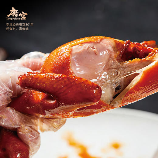 金奖乳鸽*2只 商品图2