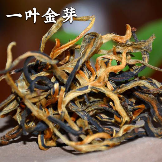 2026年滇红茶组合 蜜香金芽 古树松针 蜜香金丝 滇红毛峰 一叶金芽各100克总量500克/组 商品图3