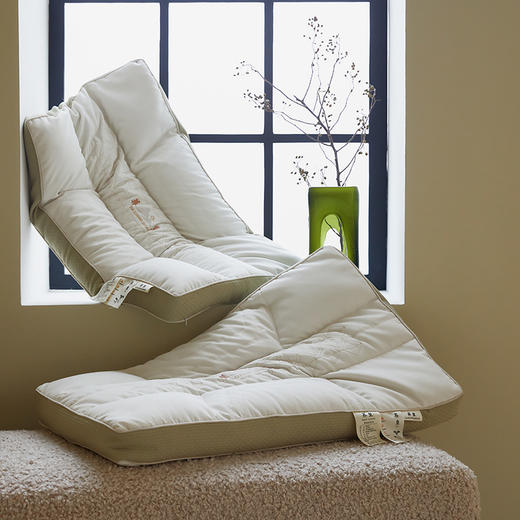 二合一深睡眠护颈荞麦枕头 全荞麦明目枕芯 商品图1