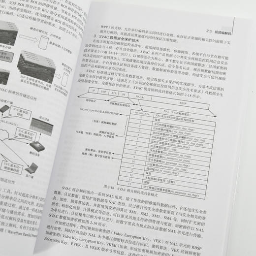 智能物联安防视频技术基础与应用 计算机人工智能物联网安防监控海康威视视频监控书籍 商品图2