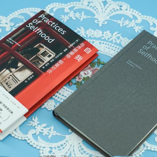 【正版现货】自我：与齐格蒙特鲍曼对谈 工作、消费主义和新穷人 作者鲍曼 守望者人间世  南京大学出版社 ND 商品图1