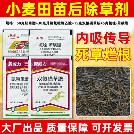 小麦苗后专用除草方案炔草酯除野燕麦看麦娘黑麦草专用除草剂正品 商品图4
