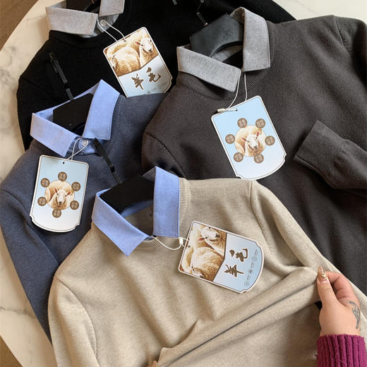 线下699!轻奢线!2024秋冬绵羊毛混纺秋冬翻领假两件毛衣打底针织衫男！ 商品图0