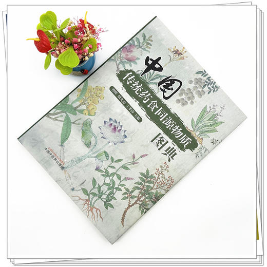 中国传统药食同源物质图典 曹晖 胡文忠 王孝涛 主编 中国中医药出版社 商品图1