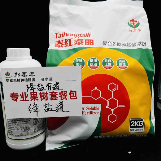 降盐有道“绛盐道”低温促根促花补钙降低盐碱（8度以下仍然有效）滴灌2亩地 商品图1