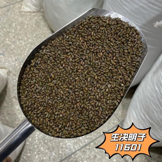 决明子  生决明子    草决明 商品图2