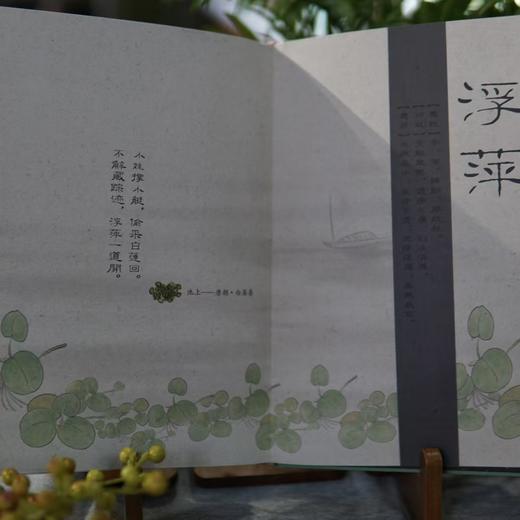 2025元气养生日记本 | 赠2枚书签 藏于书页的岐黄之术 商品图5