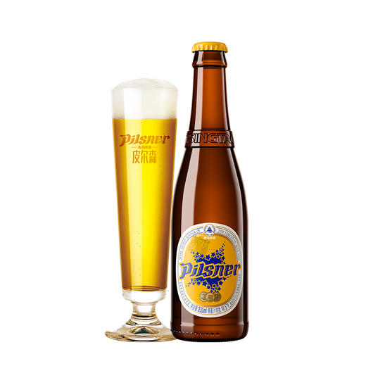 青岛啤酒精酿小瓶330*8礼盒箱啤 商品图3