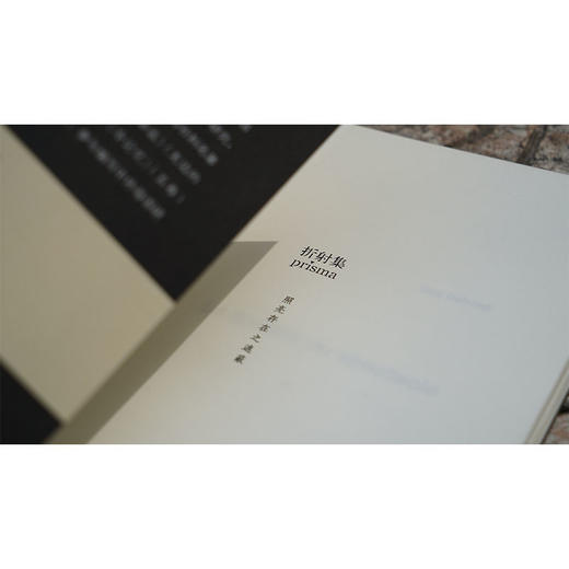 正版图书 景观社会 当代学术棱镜译丛  居伊德波 著 南京大学出版社旗舰店 文学评论与研究图书籍 ND 商品图4