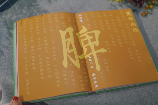 2025元气养生日记本 | 赠2枚书签 藏于书页的岐黄之术 商品图8