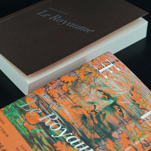 王国 守望者 文学 埃马纽埃尔·卡雷尔 编著 南京大学出版社 ND 商品图2