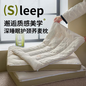 二合一深睡眠护颈荞麦枕头 全荞麦明目枕芯