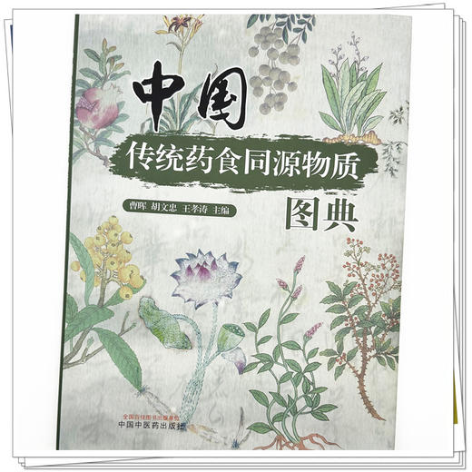 中国传统药食同源物质图典 曹晖 胡文忠 王孝涛 主编 中国中医药出版社 商品图3