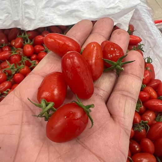 玲珑圣女果 1斤 （小果） 商品图1