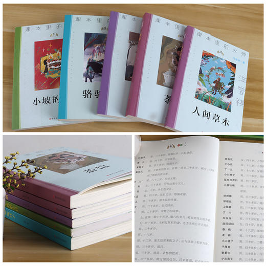 课本里的大师系列 中小学生必读书目 朝花夕拾 小鲤鱼跳龙门 稻草人 人间草木 骆驼祥子 一只想飞的猫 小坡的生日 茶馆等任选 ND 商品图2