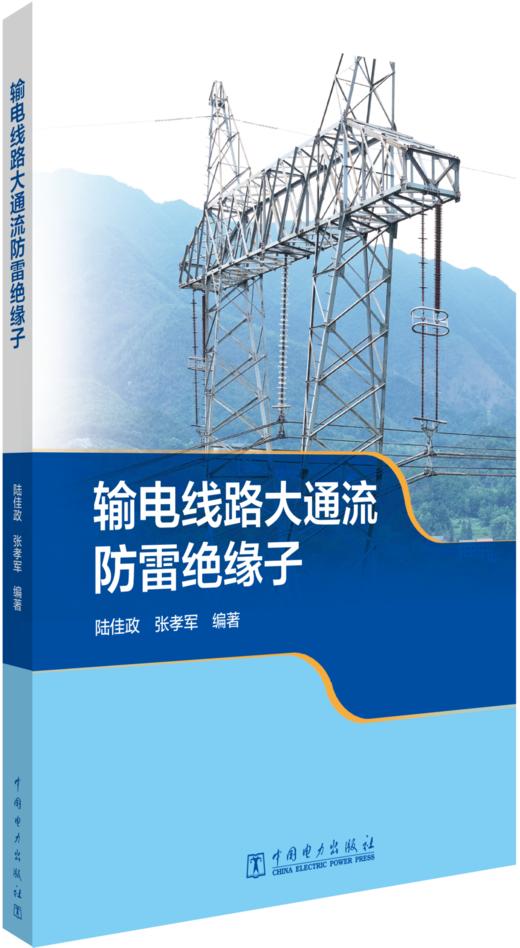 输电线路大通流防雷绝缘子 商品图0